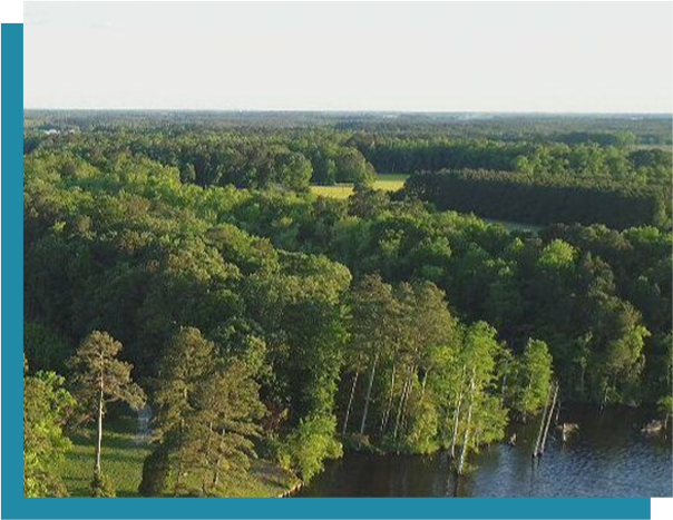 A view of trees and water from above.