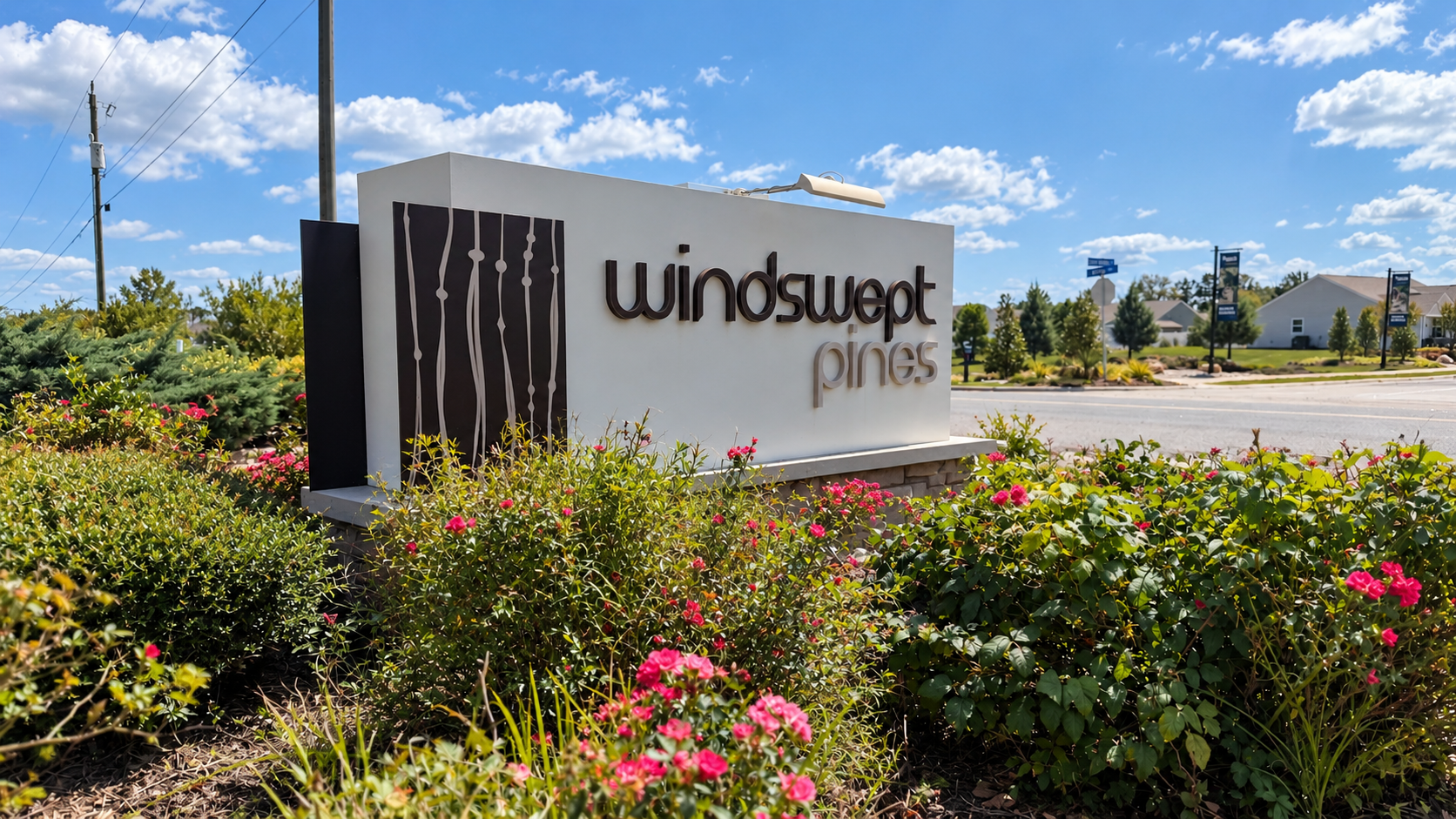 Windswept Pines 0